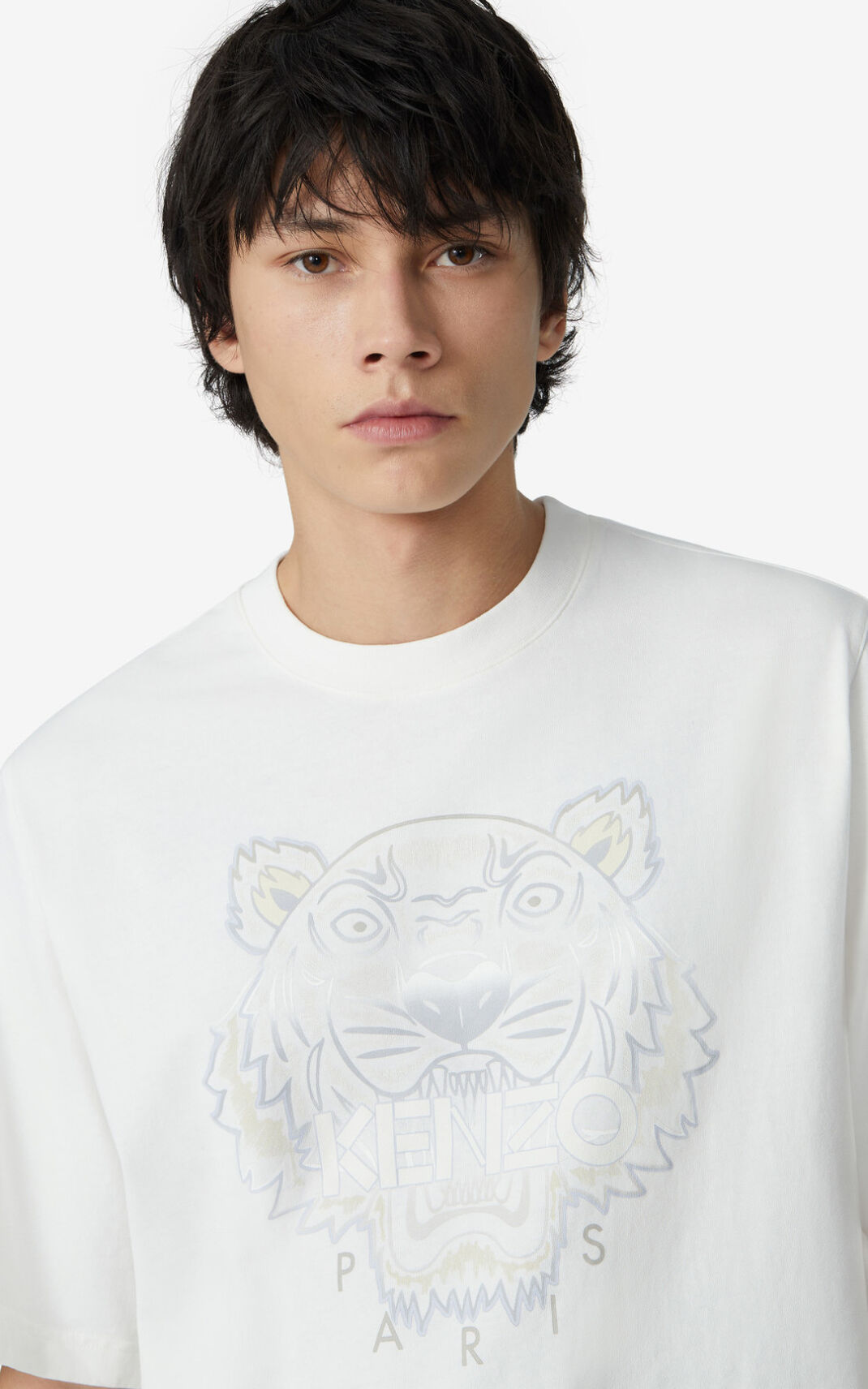 Kenzo Gradient 虎 Tシャツ メンズ 白 - JYLZIA659
